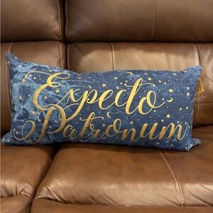 Pottery Barn Kids - Harry Potter Pillow